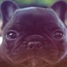 Profilbild von s