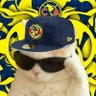 Profilbild von ★Geo☆