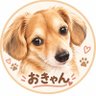 🐾おきゃん🐾's profile picture