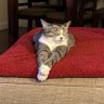 Cathy's profile picture
