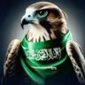 Profilbild von Al Faisal