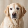 Walter's profile picture