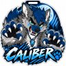Profilbild von Caliber
