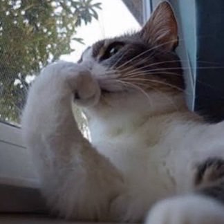 _'s profile picture