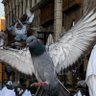 Фото профиля أبو محمد