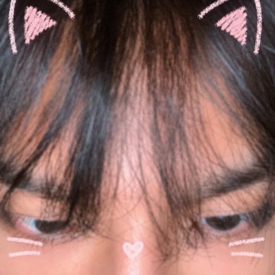 Han 🐺's profile picture