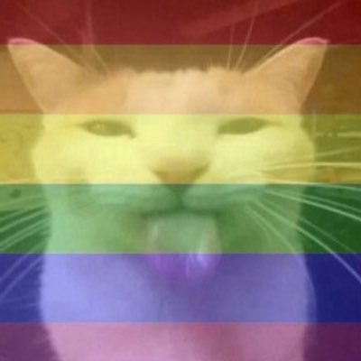 Pᯓ🏳️🌈's profile picture