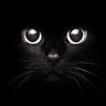 LUQMAN's profile picture