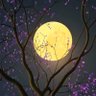 brainbloom ✨✨ profil fotoğrafı