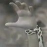 Beşiktaş JK 🦅💚 profil fotoğrafı