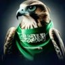 💚 مـحـمـد🇸🇦's profile picture