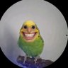 syfm's profile picture