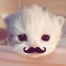 ʟօʋɛʀ ɢuʀʟ .ᡣ𐭩˚'s profile picture