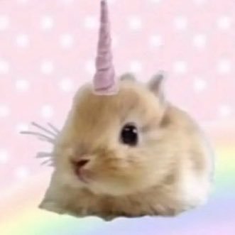 canezerra's profile picture