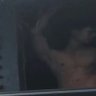 Master's profile picture