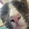 Profilbild von phil
