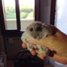 yogurt 的头像