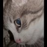 lucy's profile picture