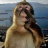 3ЛИ profil fotoğrafı