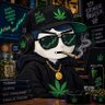 CandyCoin 的头像