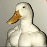 Profilbild von buttockh