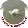 laBUD's profile picture