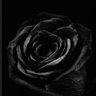 Rose Noire 的头像