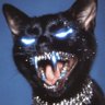 Profilbild von .