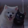 ผมล้อหมดอะ ไอพวกติดแฟน 🩵🩷☁️🎀's profile picture