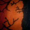 babwall's profile picture