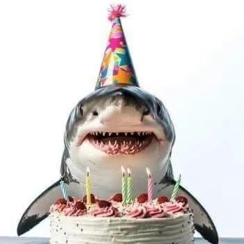 SWY🦈's profile picture