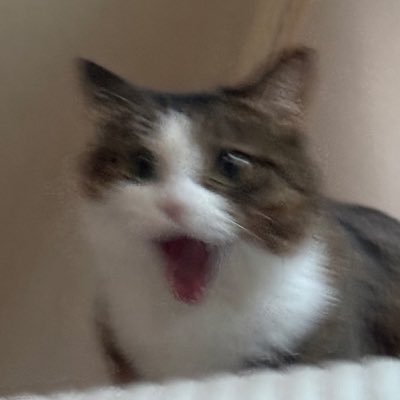 뿌리's profile picture