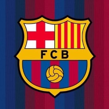 Barça Hoquei's profile picture
