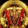 சிட்டுக்குருவி - BHARAT's profile picture