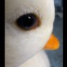 Profilbild von 🗡️ Saif