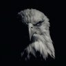 BALDY HERO profil fotoğrafı