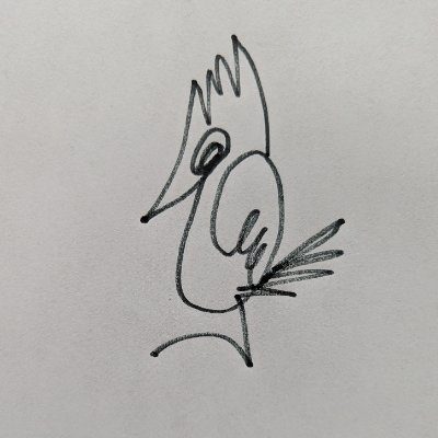 Status Crow's profile picture