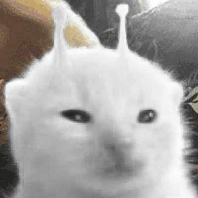 inara's profile picture