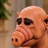 Profilbild von Tihon