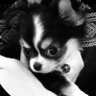 ネルくん♪'s profile picture
