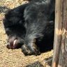 みやまえ 的头像