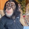 ִֶָ profil fotoğrafı