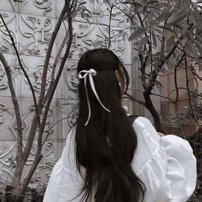 longdiane7562's profile picture