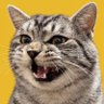 Profilbild von 皮皮站长