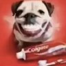 Profilbild von Sophia