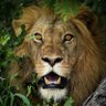 Turki.ナミ.ロビン profil fotoğrafı