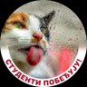 Фото профиля Ceцa Biсtaћ