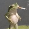 Profilbild von Pacheco