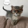吃醋大王 profil fotoğrafı