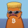Wick filler 的头像